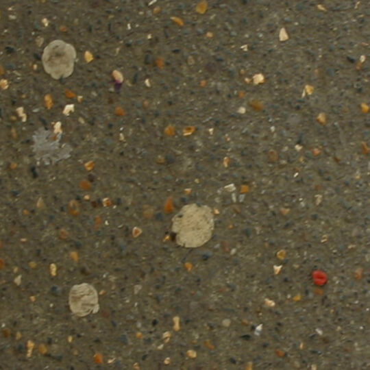 School pavement with chewing gum